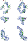 [Figure 5]