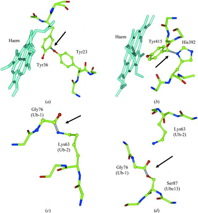 [Figure 3]