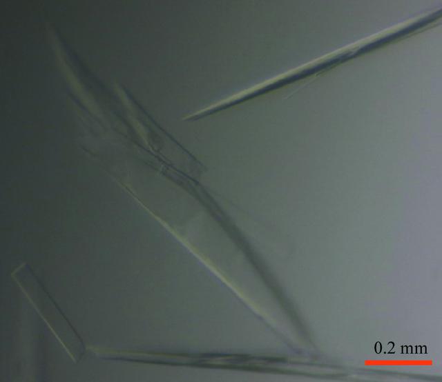[Figure 2]