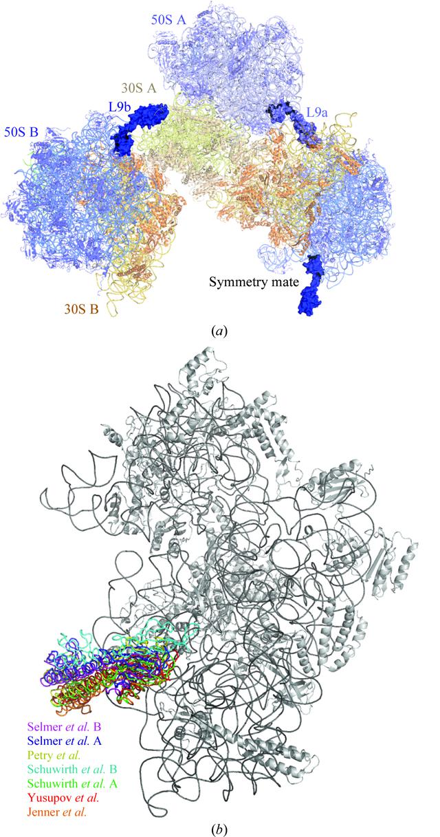[Figure 3]