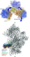 [Figure 3]