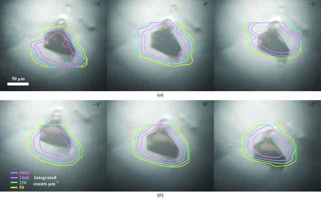[Figure 2]