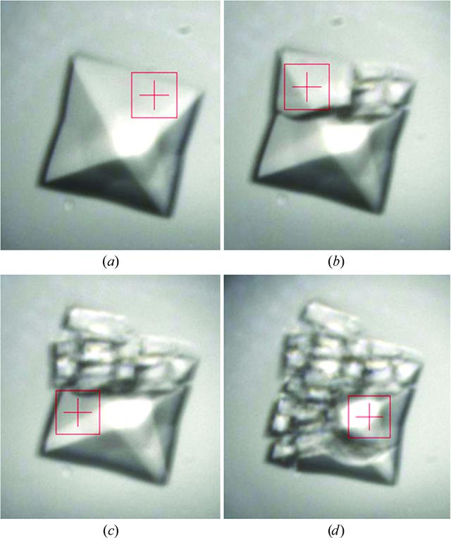 [Figure 3]