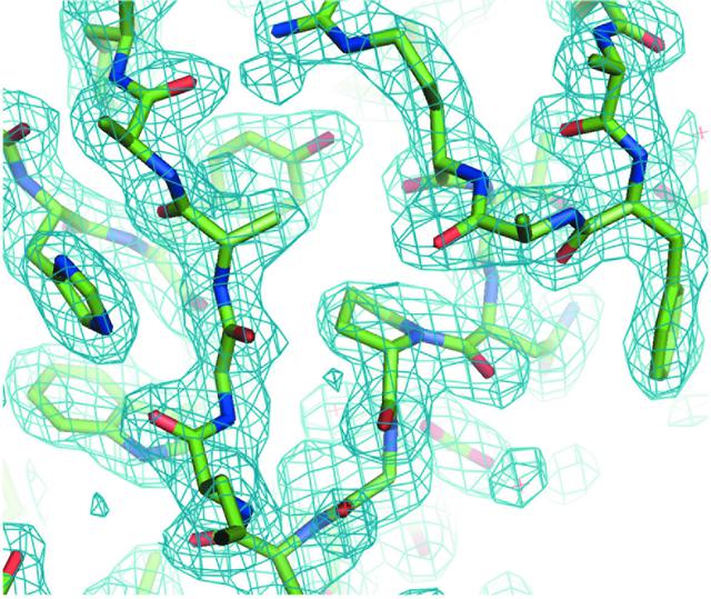 [Figure 4]