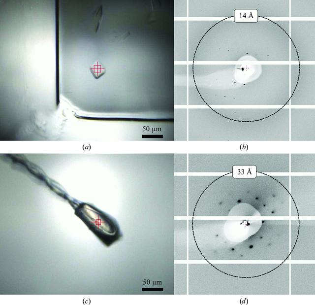 [Figure 5]