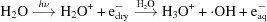 [{\rm H}_{2}{\rm O}\buildrel{h\nu}\over{\longrightarrow}{\rm H}_{2}{\rm O}^{+}+{\rm e}_{\rm dry}^{-}\buildrel{{\rm H}_{2}{\rm O}}\over{\longrightarrow}{\rm H}_{3}{\rm O}^{+}+ \cdot {\rm OH} +{\rm e}_{\rm aq}^{-}]
