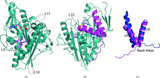 [Figure 3]
