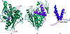 [Figure 3]