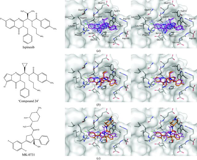 [Figure 4]