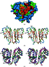[Figure 5]