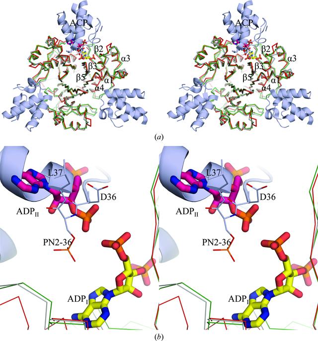 [Figure 6]