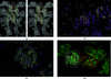 [Figure 3]