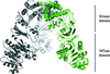 [Figure 5]