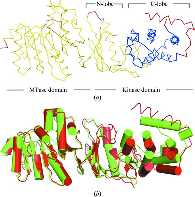 [Figure 8]
