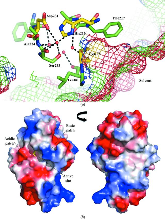 [Figure 2]