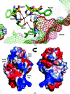 [Figure 2]