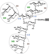 [Figure 2]