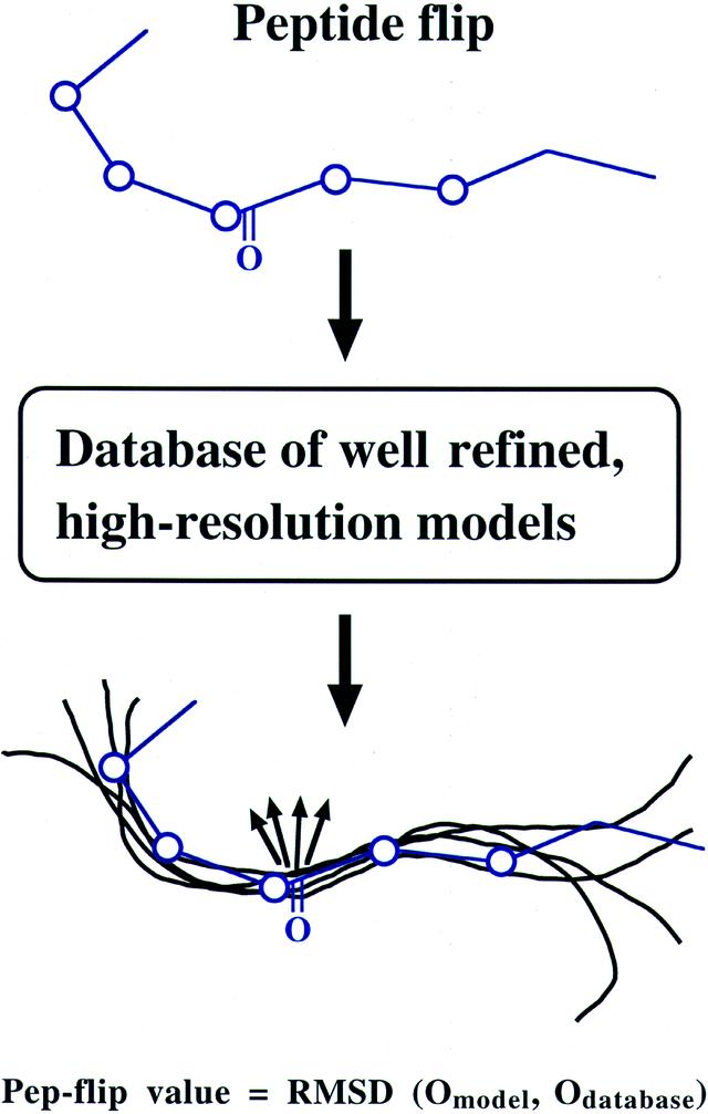 [Figure 5]