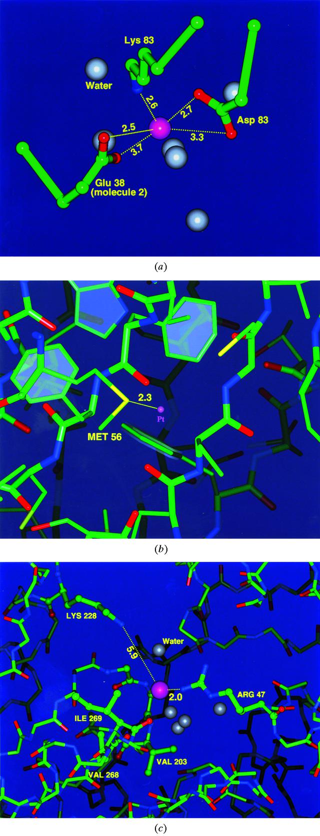 [Figure 3]