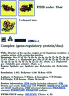 [Figure 1]