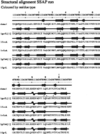 [Figure 11]