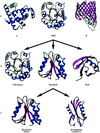 [Figure 1]