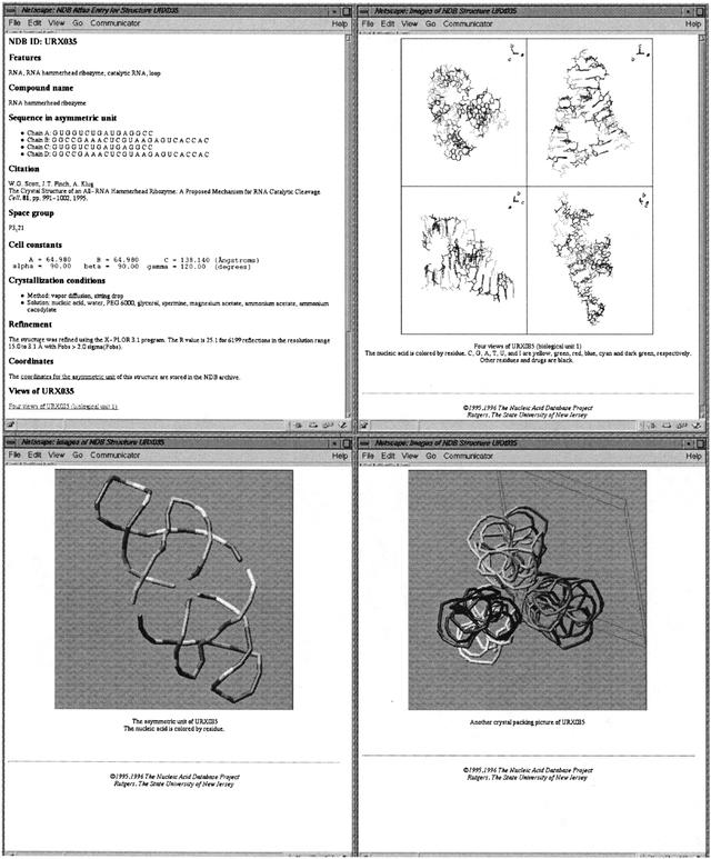 [Figure 4]