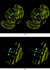 [Figure 6]
