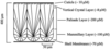 [Figure 1]