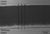 [Figure 2]