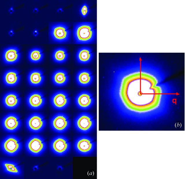 [Figure 3]