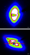 [Figure 7]
