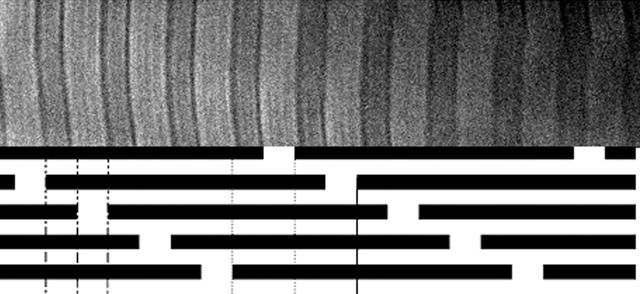 [Figure 1]