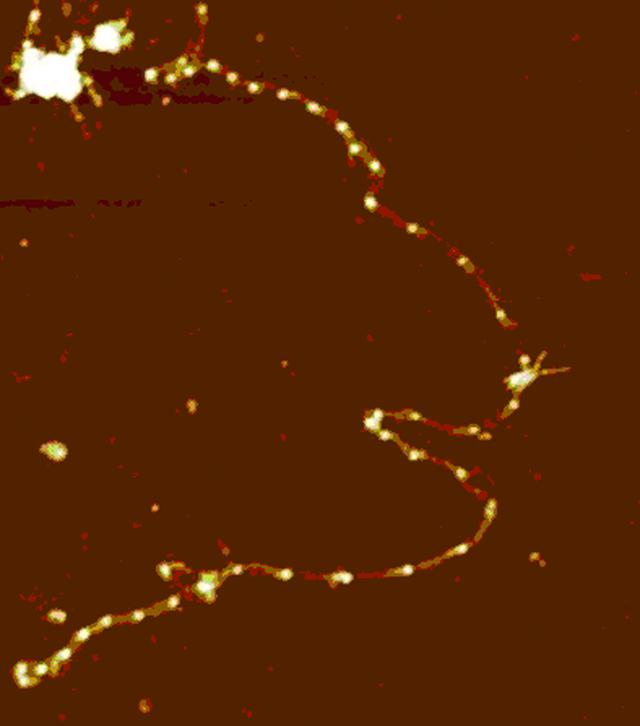 [Figure 2]