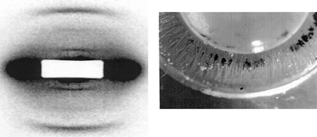 [Figure 3]