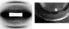 [Figure 3]