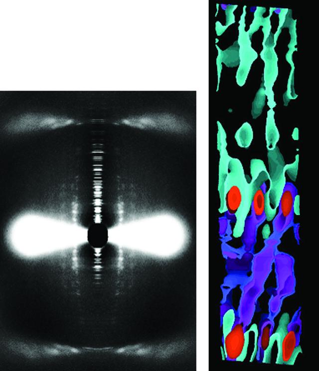 [Figure 4]