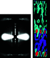 [Figure 4]