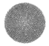 [Figure 5]