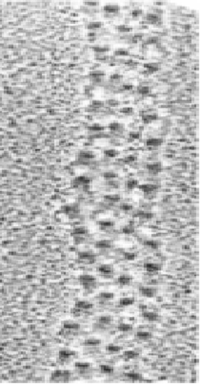 [Figure 6]