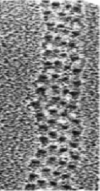 [Figure 6]