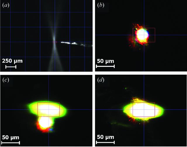 [Figure 5]