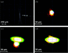 [Figure 5]
