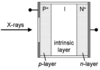 [Figure 1]