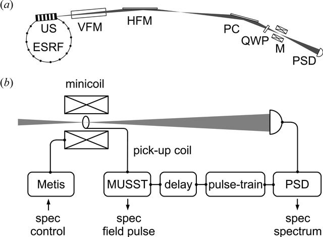 [Figure 1]