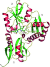 [Figure 3]