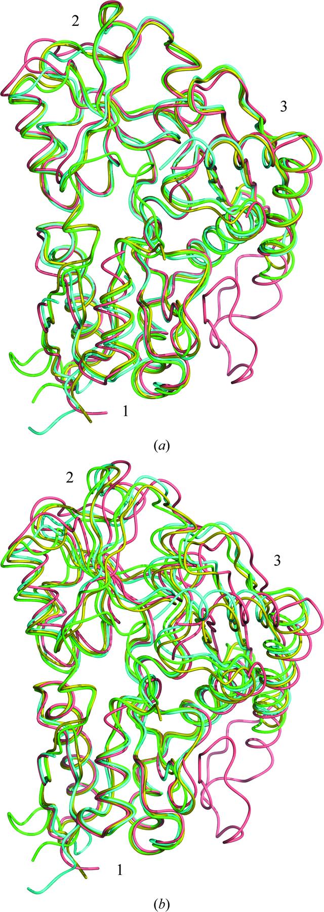 [Figure 5]
