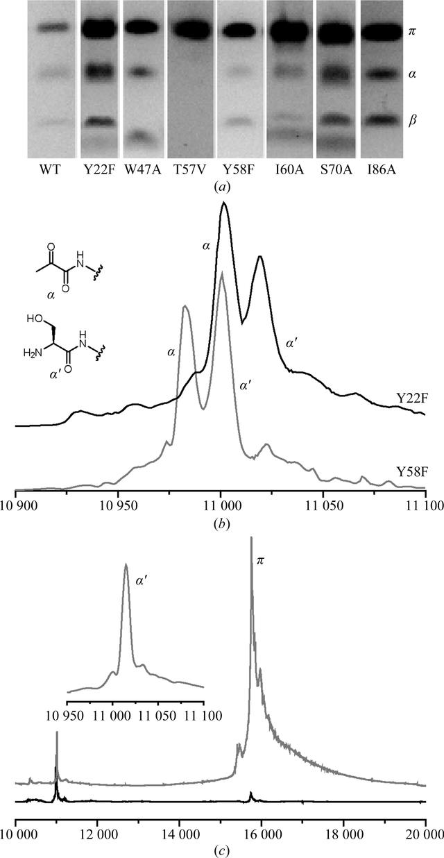 [Figure 2]
