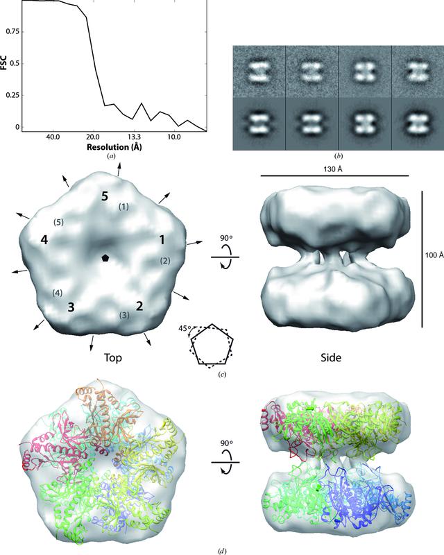[Figure 5]