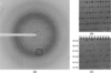 [Figure 1]